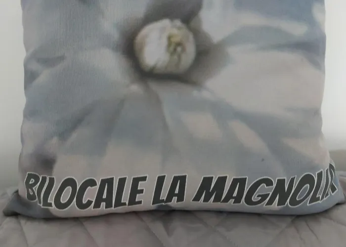 Apartment Bilocale La Magnolia *